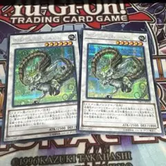 ナチュルパルキオン　DTC シークレット 遊戯王 ナチュル・パルキオン シークレットレア1枚 DTC版 - メルカリ