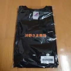 Item thumbnail for item 875341ee-8c4b-44d5-afa1-3db146f52641