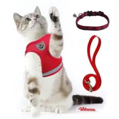 Item thumbnail for item d017768a-6ea6-48ee-a654-40d06c65d993