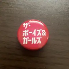 ザ・ボーイズ＆ガールズ 缶バッジ