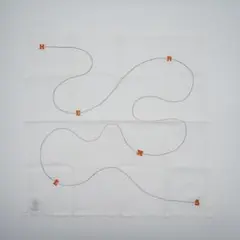 Item thumbnail for item 9a3a6b55-34ba-4a06-a413-ee21891a0a25