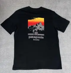 ①Patagonia＊バッグロゴTシャツ＊表記サイズＭ