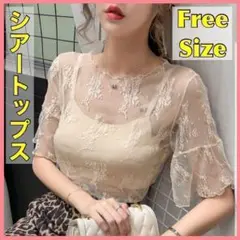 【ベージュ 】シアー トップス レース トレンド 韓国 透け感 シースルー 夏