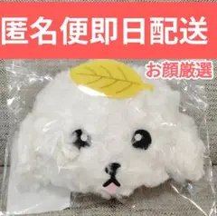 ポッチポーチ　チャンミン　東方神起　ツアーグッズ