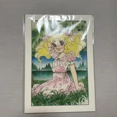 キャンディキャンディ 原画 イラスト 印刷