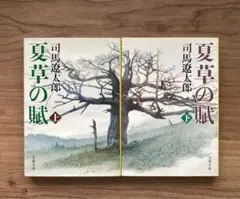 夏草の賦 上・下巻セット　司馬遼太郎
