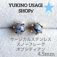 Item thumbnail for item faf8aa28-6b1d-42a8-a433-0f68328bdf45