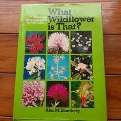 What Wildflower Is That?