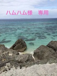 専用ページ
