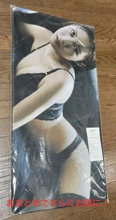 Item thumbnail for item a276a883-ddce-4984-88e7-f63244d0b337