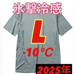 【L グレー 半袖 Tシャツ】ワークマン 氷撃冷感 (R)-10℃ 新品 ジム