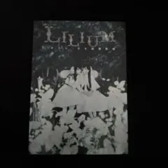 モーニング娘。'14メンバー×スマイレージ/演劇女子部 ミュージカル「LILI…
