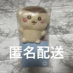 Item thumbnail for item 217cbf50-df3c-4efd-8148-ba8fb88bc01c