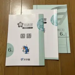 浜学園 6年生 春期講習　国語