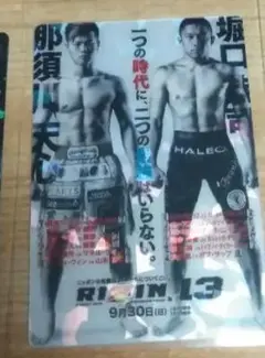 rizin