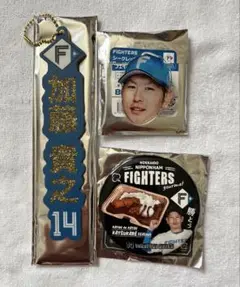 北海道日本ハムファイターズ 加藤貴之選手セット