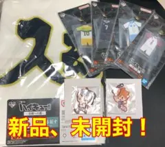 一番くじ ハイキュー!! 〜全国への道〜 D賞 F賞 H賞 赤葦　日向