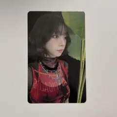 SMTOWN LIVE 東京 2025 ランダムフォトカード カリナ aespa