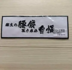 Item thumbnail for item e50555eb-4bdd-4de5-b34b-e6da5f33ef85