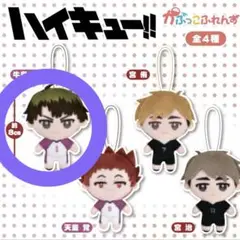 ハイキューガチャガチャ 牛島若利