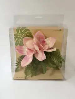 新品未使用品 Maunaloa マウナロア シンビジウムファーンクリップ