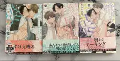 鬼上司・獄寺さんは暴かれたい。1 2 3 あらた六花