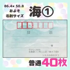 【海①】宛名シール　差出人シール　普通サイズ　40枚　シンプル　風景