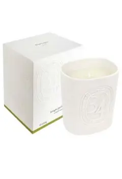 diptyque 34 サンジェルマン 220g