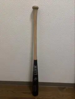 Item thumbnail for item 0ee8411c-5847-4a73-aad5-0b4f3e3cc140