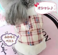 Item thumbnail for item 9bd6e6c5-9b0d-45c1-aaf3-7eada1acfc02