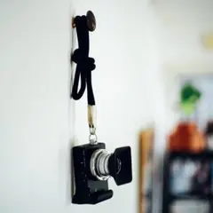 Item thumbnail for item 413d6d03-b24c-4de0-a13d-9f6a942bd445