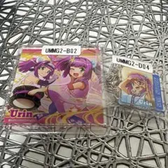海物語　ウリン　アクキー　コースター