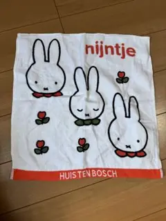 Item thumbnail for item 7b1829cc-015c-414c-addd-89b264560896