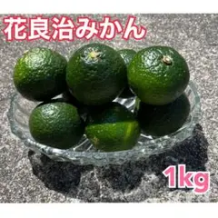 花良治みかん ケラジミカン 奄美大島産1kg