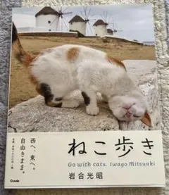 ねこ歩き　岩合光昭先生　写真集