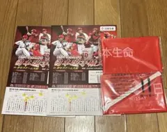 Item thumbnail for item e05f88e1-8e33-43b2-82fa-9bfcb007f27c