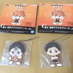 【2点セット】ハイキュー一番くじG賞アクリルチャーム澤村　西谷