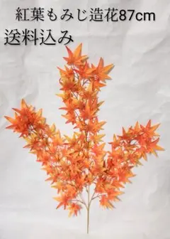 Item thumbnail for item a598b675-d84d-4862-a4a5-fdea65d9b1fb