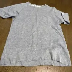 日本製ループウィラー×ビームスプラス半袖スウェットL