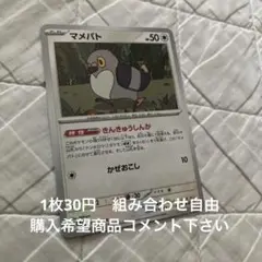 マメバト　在庫3