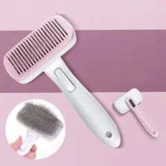Item thumbnail for item 030f1d16-23bf-44bf-a506-7a4a4181364c