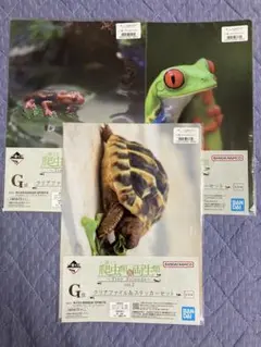 一番くじ　爬虫類　両生類　クリアファイル&ステッカーセット　3種