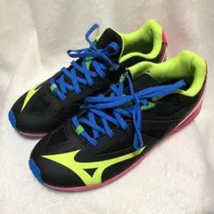 ミズノ スピードマッハ ランニングシューズ25