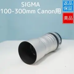 Item thumbnail for item 5ca70d6a-74c3-483e-914f-b5e7e0c1c3b8