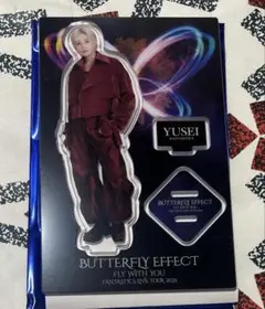 アクスタ アクリルスタンド BUTTERFLY EFECT 八木勇征