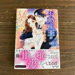 愛を知らない不動産王が恋をしたら猛攻が止まらない　ヴァニラ文庫　ＴＬ小説