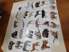 KUMON 動物カード 31枚セット