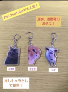 Item thumbnail for item 8fc17d09-73ed-4cfd-b728-5db56c2dd809