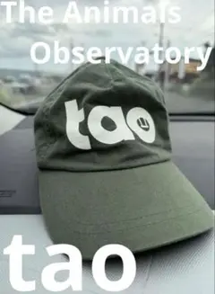 ◾️ The Animals Observatory　TAOキャップ　帽子グリーン