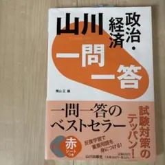 山川 一問一答政治・経済